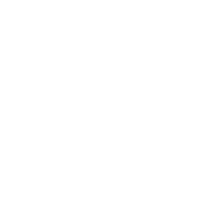 Reality Kings porn channel